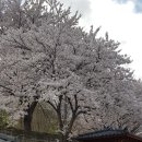 상가리농장 이미지