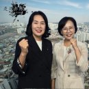 시시비비 이미지
