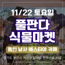 천덕산로 | 용인 남사 에스티아 보타닉 풀판다 식물 마켓 방문 후기🌿