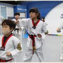 브레인 박사 태권도장 이미지