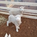 나눔농장 이미지