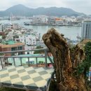 동피랑사람들 이미지