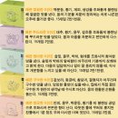 예본 이미지