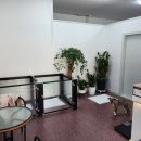 헤이라딘 이미지