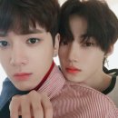 차니차니 이미지