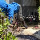 (주)다원포장 이미지