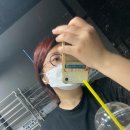 대삼푸드 이미지