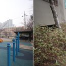 한성스위트빌아파트(1차) 이미지