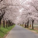 비슬로63길 이미지