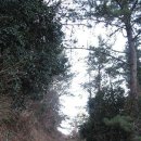 본동민박 이미지