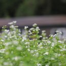 박준덕부부효열각 이미지