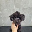 깜지미용실