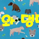 댕댕이를 사랑하는 모임
