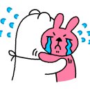 퍼니펫 애견 미용실 이미지