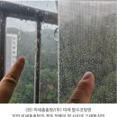 안양의왕군포 방충망교체 추천 ‘더촘촘한방충망 안양점’ 미세방충방 교체 후기