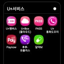 폴바셋현대프리미엄아울렛김포점