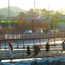 토황민박 이미지