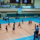 둔포초등학교 이미지