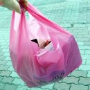 BOB 애견용품 아울렛 이미지