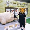 신흥공부나라 | [강원도 비오는날 아이와] 속초시립박물관 & 오산리선사유적박물관, 초등학생 실내 코스 총정리