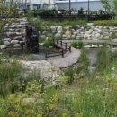 보궁식당 이미지