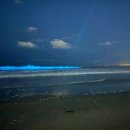 보민바이오 이미지