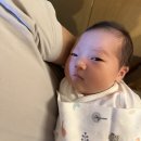 레이나 산후조리원 | 송파 레이나산후조리원 후기