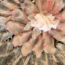 성진활어 이미지