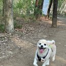 담아놓다