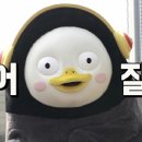 바디찬스짐 이미지