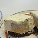 오델리스 이미지