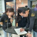 스케치애견미용학원 네이버블로그