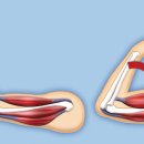 프로 애슬래틱 클럽 이미지
