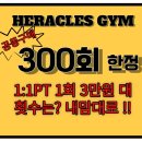 N 피티짐 네이버블로그