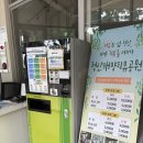 청산-1 | [청산도 여행] 청산해양치유공원 | 비오는 날 추천코스 | 내돈내산 후기
