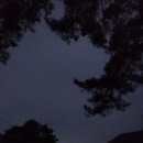 도호길 이미지