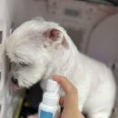 (주)날라주 이미지