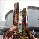 2012/11/08/서울시 코엑스국화축제와 봉은사 찾아(걷기) 이미지