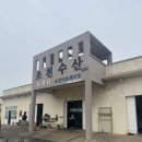 [제주] 함덕 해수욕장 근처 야장 회 맛집 ‘조천 수산’ (현지인 추천, 가격, 내돈내산)