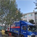 봉화로181번길-R | 이사 준비 중에 만난 김포이사, 로켓이사에서 사다리차까지 완벽 커버