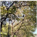 서대문구가족센터 이미지