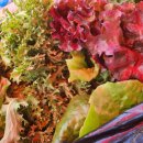 세준농장 이미지