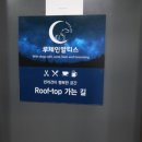 안양 내돈내산 도심 속 애견동반 운동장 카페 [루체인 알티스]