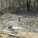 김삿갓면-37 이미지