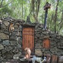 동화나라 애견 이미지