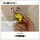 호두파야 이미지