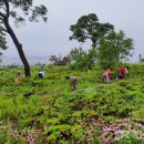 내촌마을 이미지