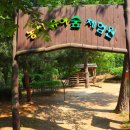 서농동게이트볼장 이미지