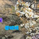 나드리 Daum카페