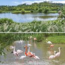 그늘막113 이미지